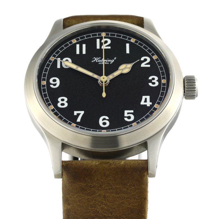 Habring Erwin Pilot